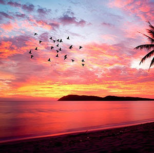 Meet your Posher, Judith